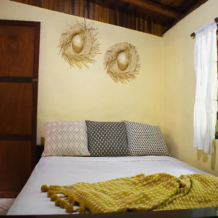 Pachamama Tropical Garden Lodge Carmen  Exterior photo