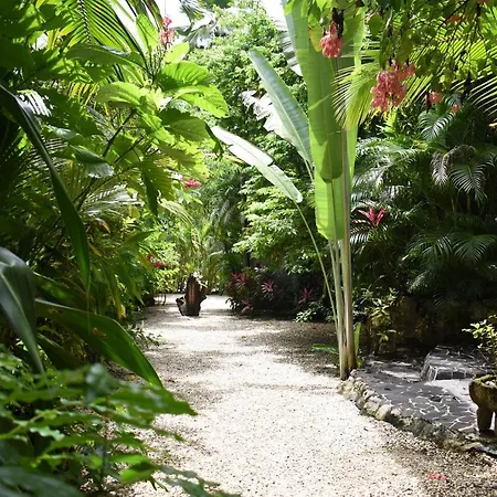 Pachamama Tropical Garden Lodge Carmen  Exterior photo