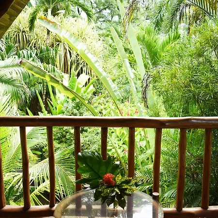 Pachamama Tropical Garden Lodge Carmen  Exterior photo