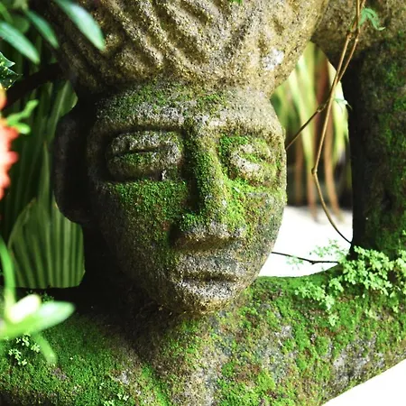 Pachamama Tropical Garden Lodge Carmen  Exterior photo