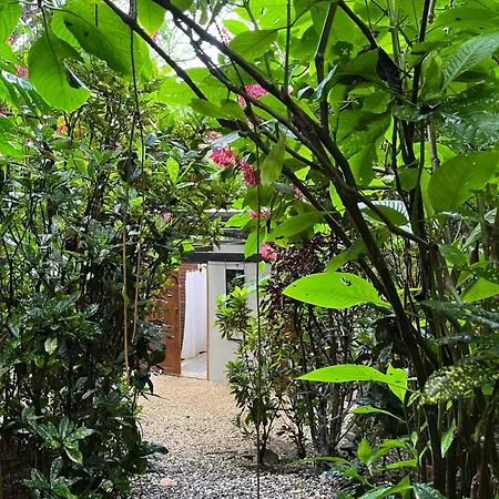 Pachamama Tropical Garden Lodge Carmen  Exterior photo