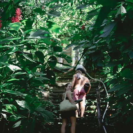 Pachamama Tropical Garden Lodge Carmen  Exterior photo