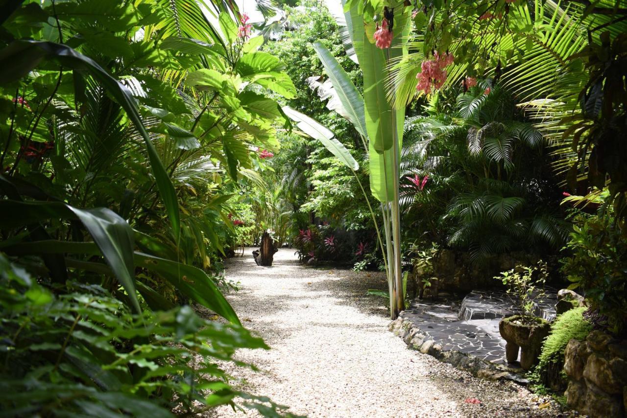 Apartment Pachamama Tropical Garden