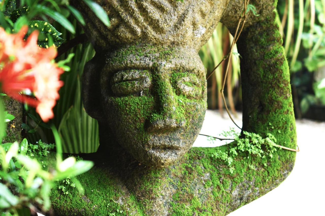 Pachamama Tropical Garden Apartment *