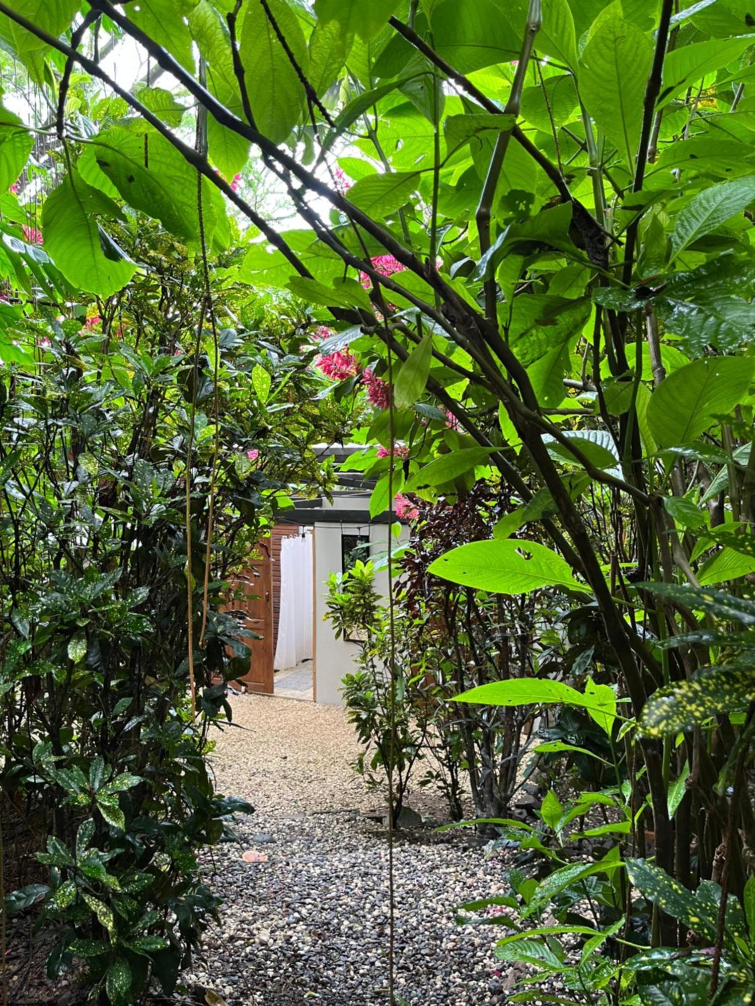 Pachamama Tropical Garden