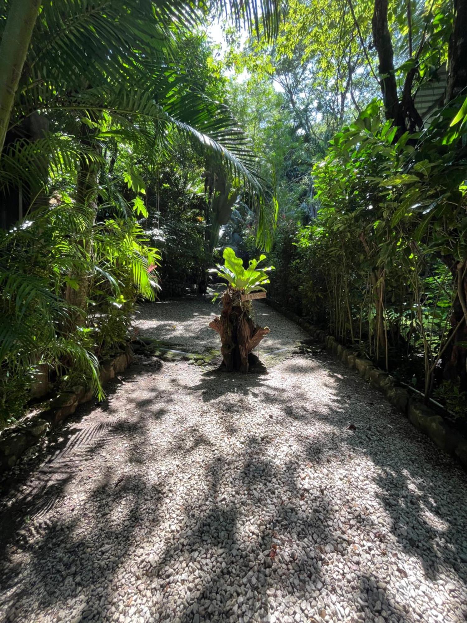 Pachamama Tropical Garden * Carmen (Puntarenas)