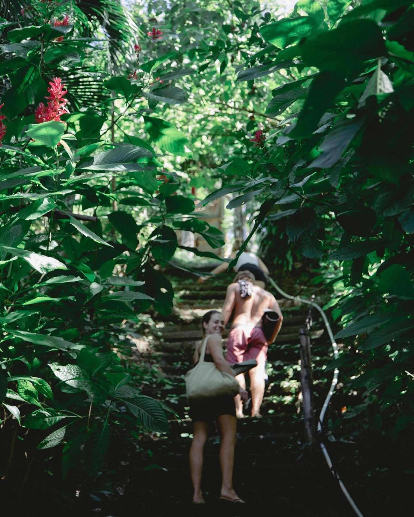 Apartment Pachamama Tropical Garden