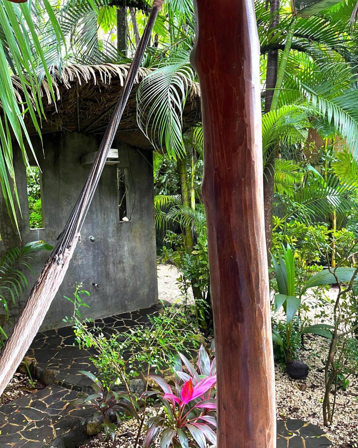 Pachamama Tropical Garden * Carmen (Puntarenas)