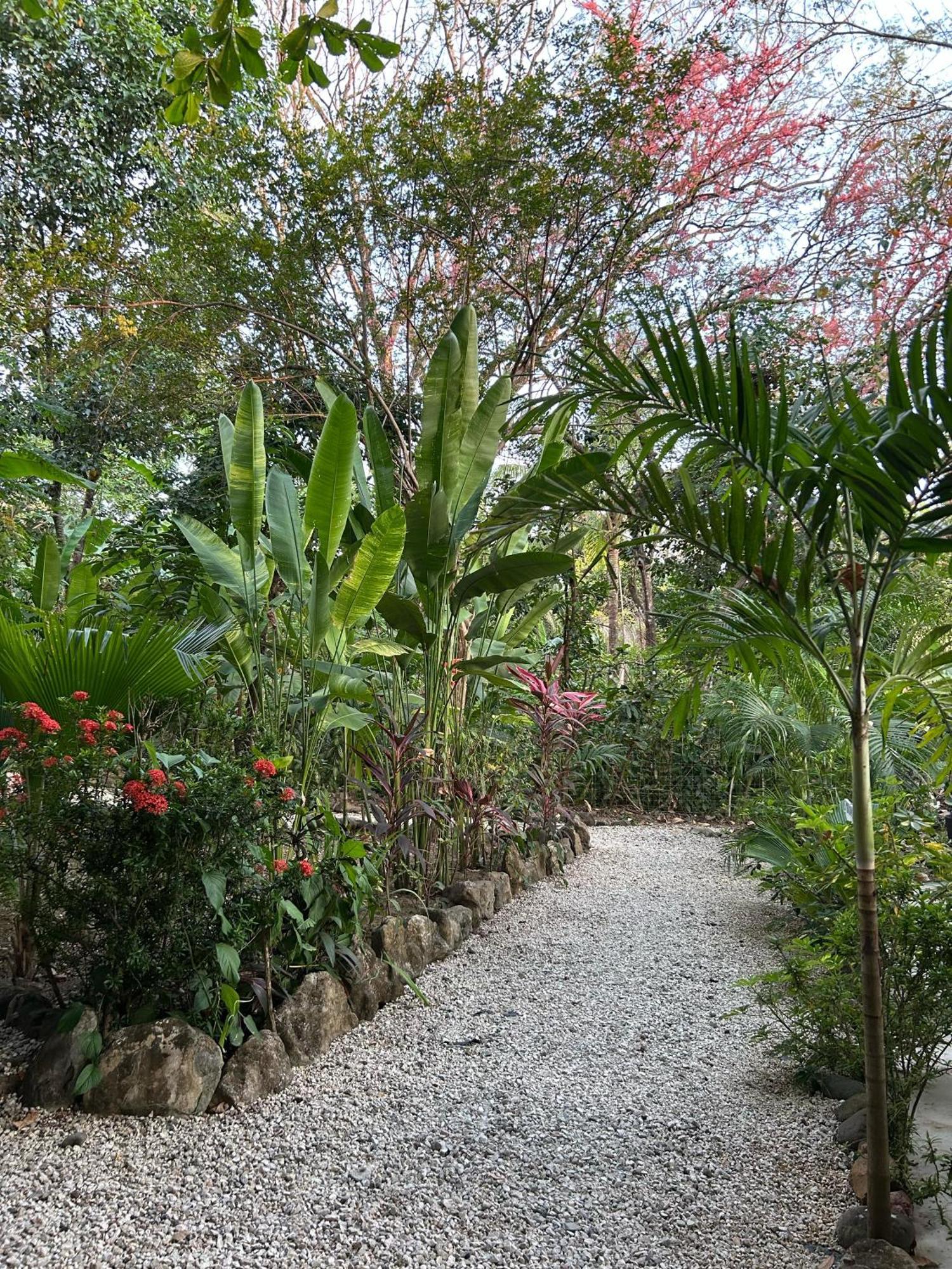 Pachamama Tropical Garden * Carmen (Puntarenas)